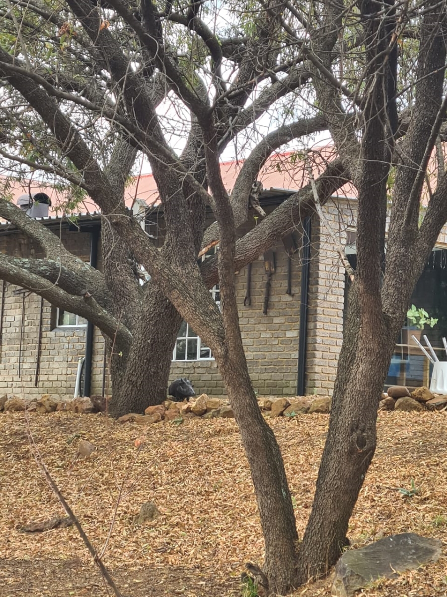 4 Bedroom Property for Sale in Deneysville Free State